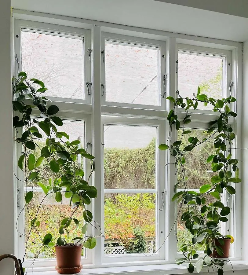 Apartmentincopenhagen Apartment 1466